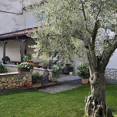 Apartment Vita Poreč Eksteriør bilde