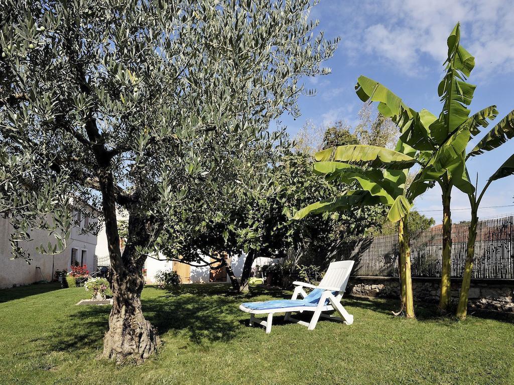 Apartment Vita Poreč Eksteriør bilde